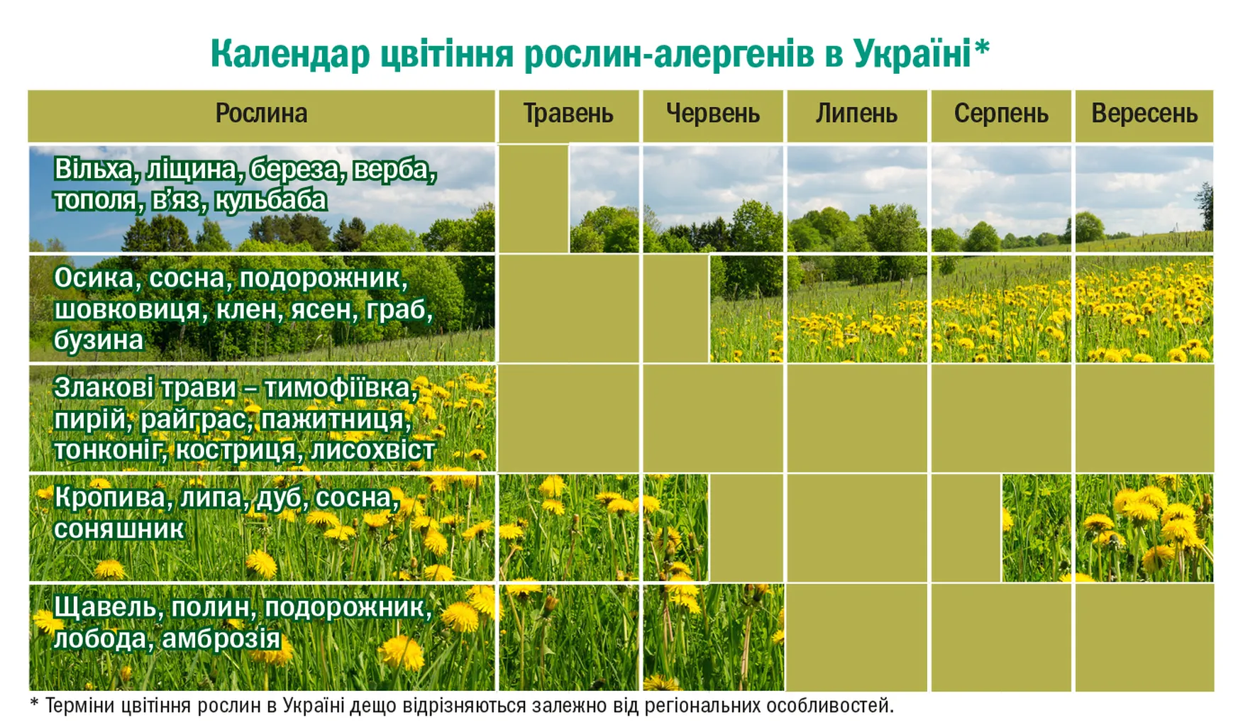 Цвітіння рослин-алергенів в Україні